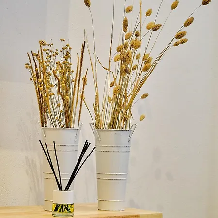 La Perla Little * Cádiz