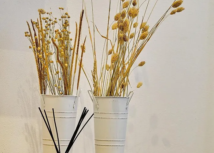 La Perla Little * קדיז